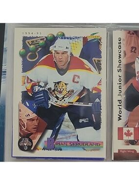Brian Skudland Hockey Card 1994-95